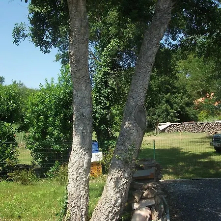 Apartment Arregui Lalanne
