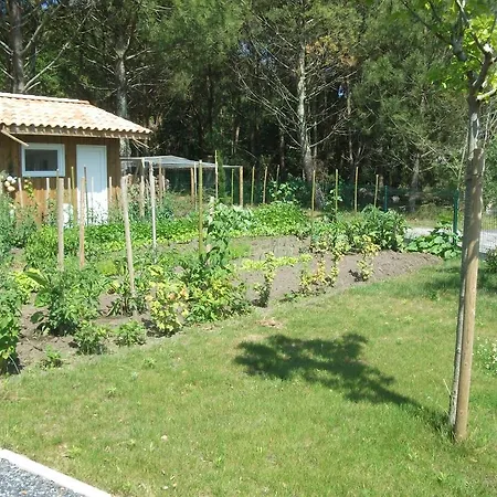 Arregui Lalanne Apartment Capbreton