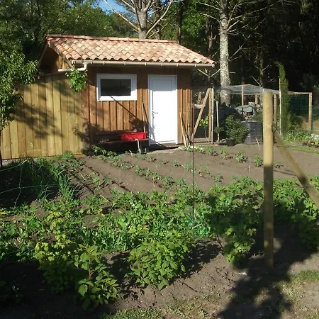 Arregui Lalanne * Capbreton